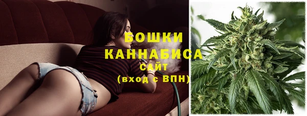 шишки Остров