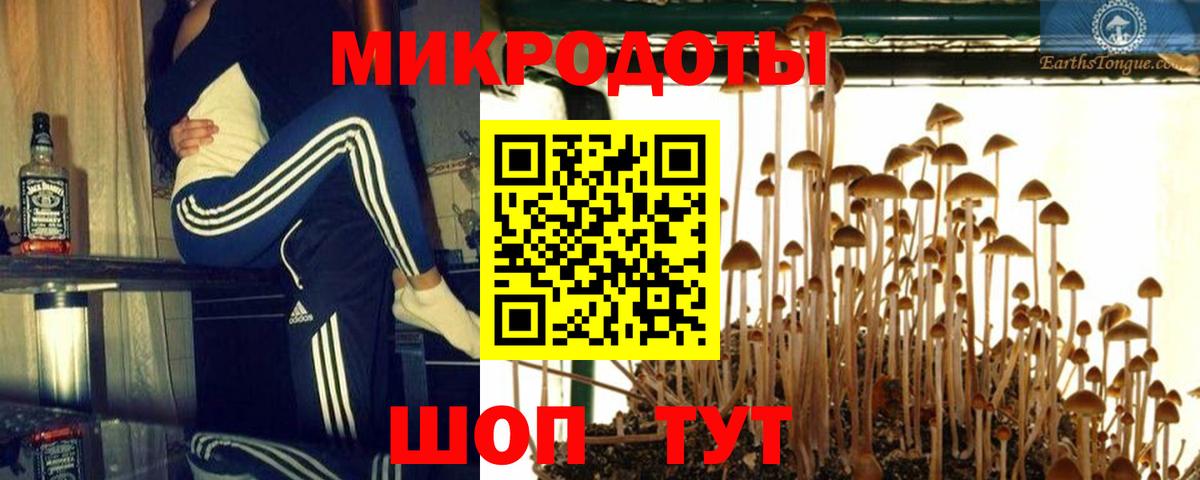 Сатка  Галлюциногенные грибы Magic Shrooms  Вход с VPN 