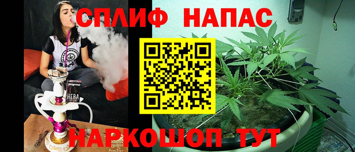 Бошки Шишки конопля  Вход с VPN  Марихуана ГИДРОПОН  Канабис тримм  Сатка 